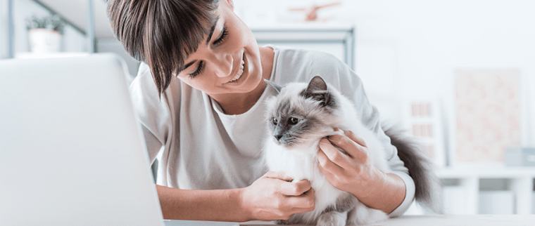 chat affection